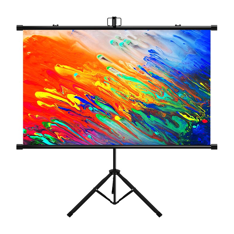 portable mobile screen